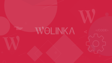 WordPress Bakım Hizmeti - Wolinka